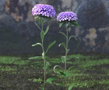 Modern Flowers And Grass-ID:524056919