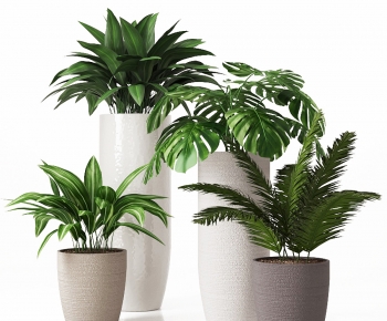 Modern Ground Green Plant Potted Plants-ID:541490084