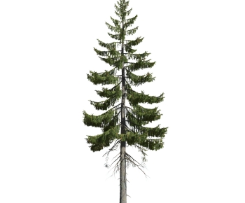 Modern Tree-ID:121298073