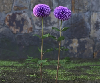 Modern Flowers And Grass-ID:485447889