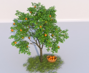 Modern Tree-ID:673993113