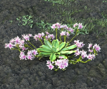Modern Flowers And Grass-ID:179450991