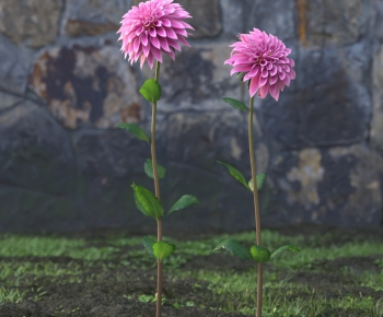 Modern Flowers And Grass-ID:681794889