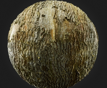 Modern Tree-ID:679785011