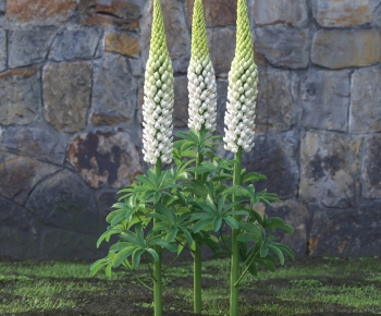 Modern Flowers And Grass-ID:482362998