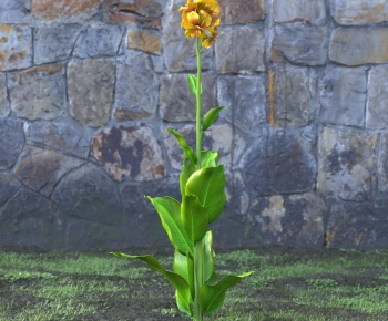 Modern Flowers And Grass-ID:610428095