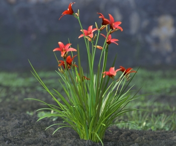 Modern Flowers And Grass-ID:201869969