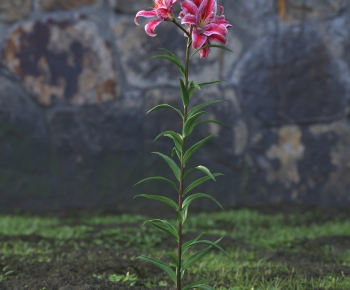 Modern Flowers And Grass-ID:768546105