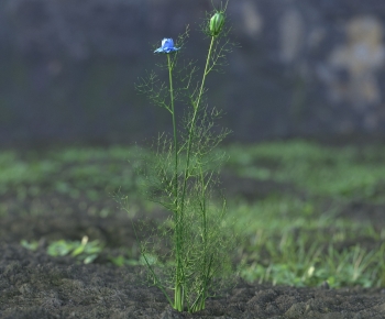 Modern Flowers And Grass-ID:534574994