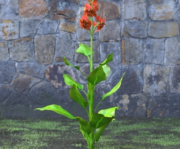 Modern Flowers And Grass-ID:638926036