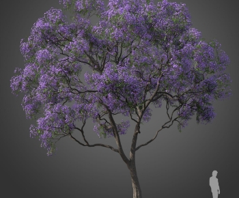 Modern Tree-ID:784267909