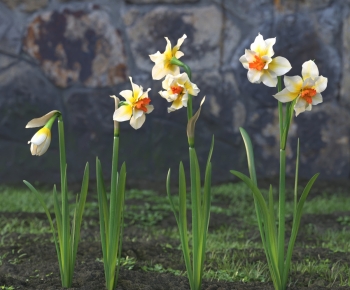 Modern Flowers And Grass-ID:364314083