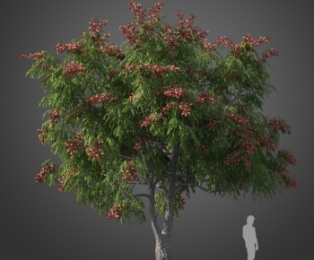 Modern Tree-ID:587340127