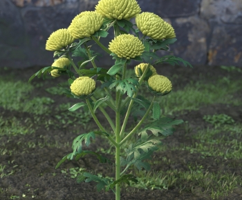 Modern Flowers And Grass-ID:328421129