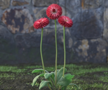 Modern Flowers And Grass-ID:956892975