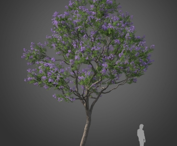 Modern Tree-ID:256967071