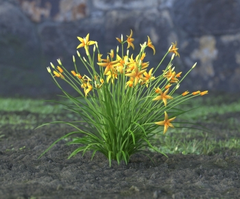 Modern Flowers And Grass-ID:794186128