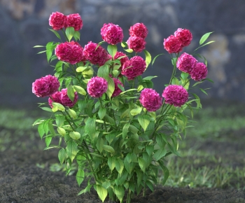 Modern Flowers And Grass-ID:912235982