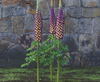 Modern Flowers And Grass-ID:834089998