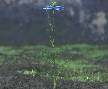 Modern Flowers And Grass-ID:189404011