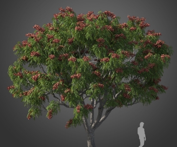 Modern Tree-ID:547154903