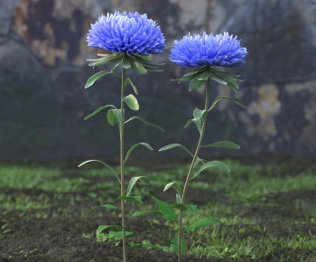 Modern Flowers And Grass-ID:517189031