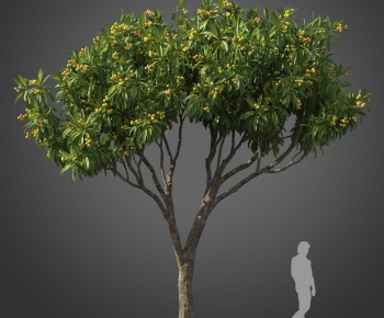 Modern Tree-ID:416747098