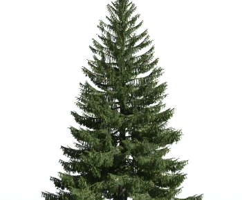 Modern Tree-ID:372931009