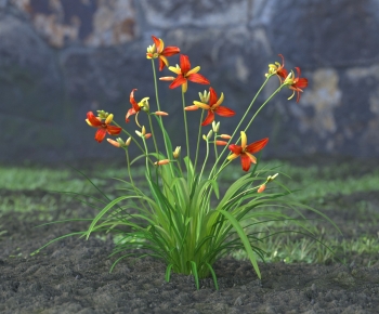 Modern Flowers And Grass-ID:569406037
