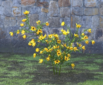 Modern Flowers And Grass-ID:583091029