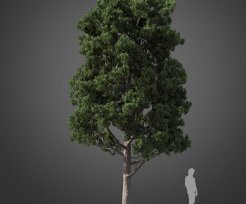 Modern Tree-ID:121591111