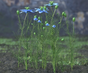 Modern Flowers And Grass-ID:777756931