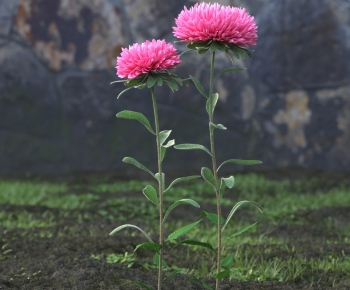 Modern Flowers And Grass-ID:841200484