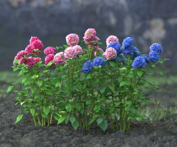Modern Flowers And Grass-ID:284610031