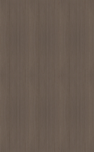 ModernWood Texture