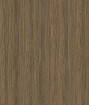 ModernWood Texture