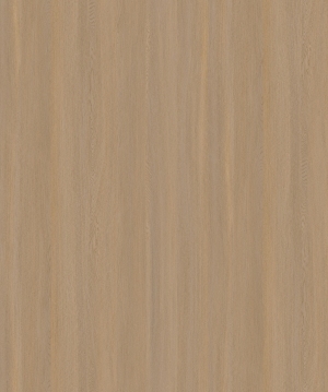 ModernWood Texture