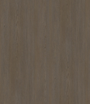 ModernWood Texture