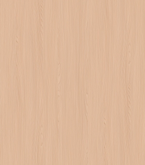 ModernWood Texture