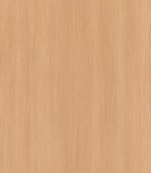 ModernWood Texture