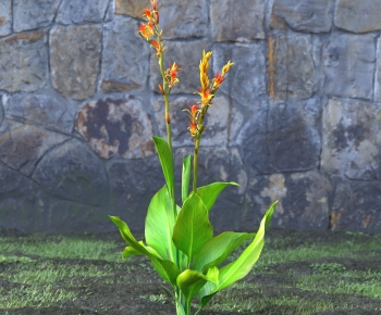 Modern Flowers And Grass-ID:898125891