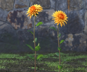 Modern Flowers And Grass-ID:980412966