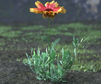 Modern Flowers And Grass-ID:526911024