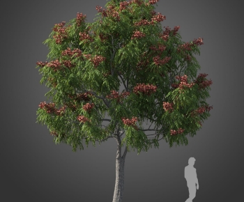 Modern Tree-ID:105140922