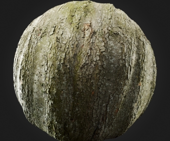 Modern Tree-ID:713102102