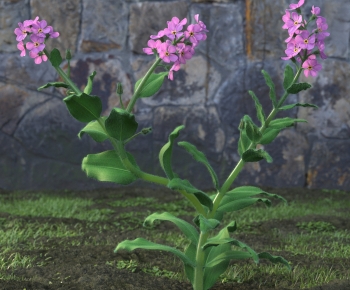 Modern Flowers And Grass-ID:287277942