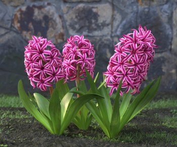 Modern Flowers And Grass-ID:691642055