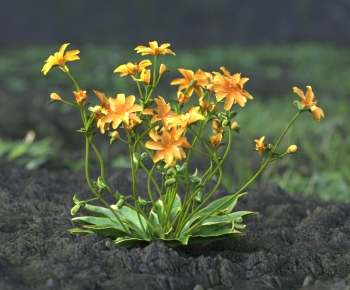 Modern Flowers And Grass-ID:719912059