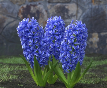 Modern Flowers And Grass-ID:975210757