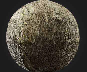 Modern Tree-ID:419879911